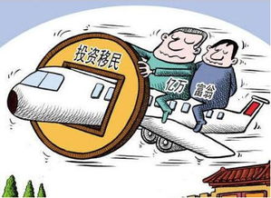 大陆居民在外资产,如何进行规避风险