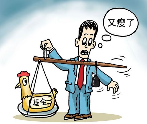 2024年, 基金定投 会是一个好的选择吗