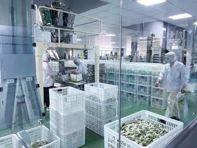单品年售10亿粒,这颗南酸枣糕到底多